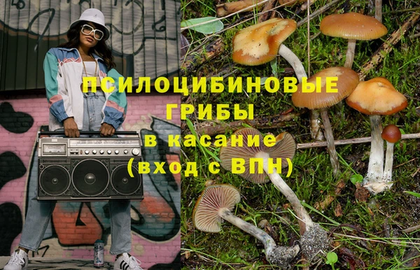 твердый Лагань