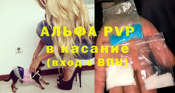 твердый Лагань