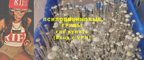 твердый Лагань
