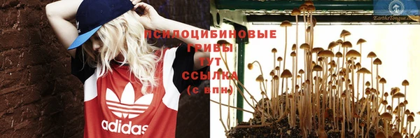 синтетический гашиш Корсаков